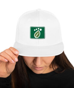 Casquette Snapback